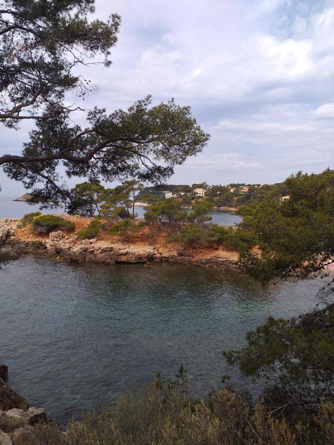 Joli studio res au calme en rez de jardin à Bandol. Extérieur photo